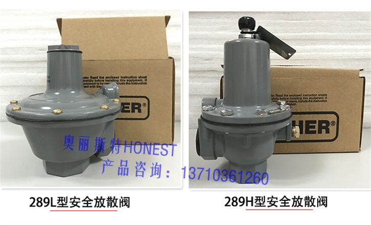 FISHERɢy289L-21ɢy289H-41ɢyMϣ 
P(gun)I: