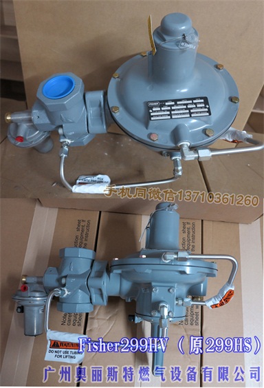 299HVM(fi)ϣpy 
P(gun)I:2025-01-02