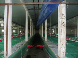 uᡢiţ 
P(gun)I: