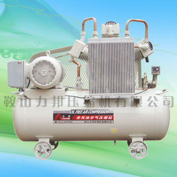 o(w)͝(rn)ՉC(j) oil free air compressor 
P(gun)I: