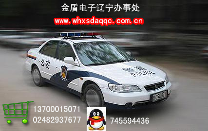 3MzԺԺ˾2004ʽ܇^Rȫ 
P(gun)I: