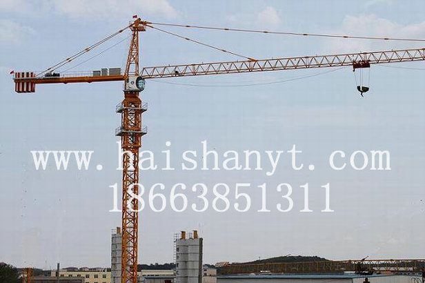 QTZ315QTZ315Tower crane 
PI: