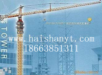 QTZ160QTZ160Tower crane 
PI: