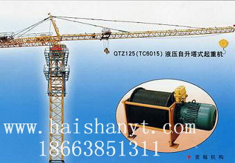 QTZ125QTZ125 Tower crane 
PI: