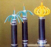 ZR-KVV22ZRC-KVV22ZRB-KVV22ZR-KVVP 
PI: