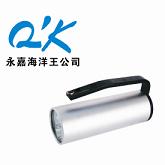  RJW7101/LT ʽ̽՟ 
P(gun)I: