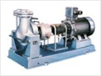 (yng)^\ζ༉ߜxı 
P(gun)I: