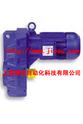 (gu)BAUER늙C(j)BAUERpٙC(j)BAUER(dng)늙C(j) 
P(gun)I: