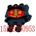 BZA10-123VøͿưŤ 
P(gun)I: