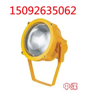 DGC175ͶͶ 
P(gun)I: