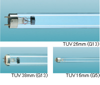 TUV͉T5ֱܟw 
P(gun)I: