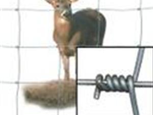 6W(wng) 
P(gun)I: