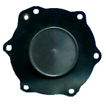 (gu)ABB׃ 
P(gun)I: