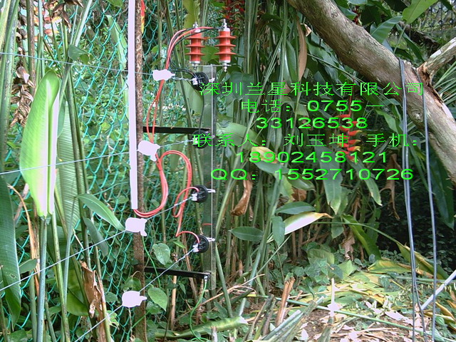 Ӈ|Ӈڰb|Ӈڈ(bo)r|ӇN 
P(gun)I: