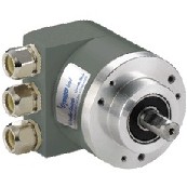 RENCOa 
P(gun)I: