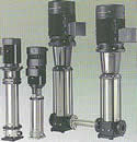 N۸mƼĺÃr(ji) 
P(gun)I: