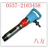 G10 
P(gun)I:2011-05-08