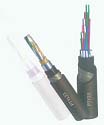 F·̖|-PTY23|zb̖|ԃ(D) 
PI: