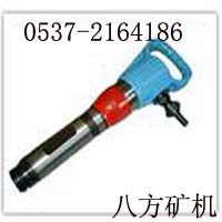 VG10L 
P(gun)I: