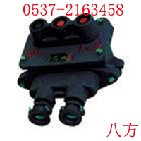BZA10-123VøͿưŤ 
P(gun)I:2011-08-15