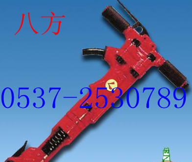 B87L(fng) B87CB87L(fng)F 
P(gun)I: