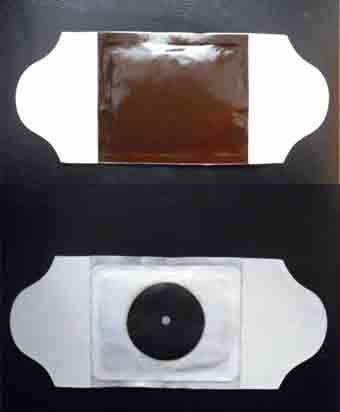 Sl(f)ЇN 2011®a(chn)Ʒ]hžN ļӹSҴN 
PI: