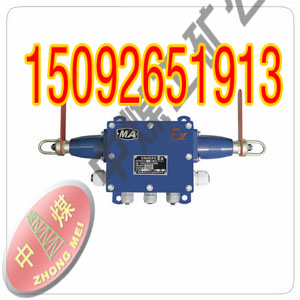 KG9001AK]i_P 
PI: