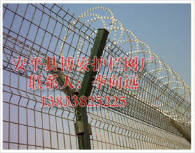 (yng)O(jin)zO(jin)zoھW(wng) 
P(gun)I: