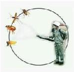 BT˼^(q)Ƶe^x(w)r-BTG 
P(gun)I: