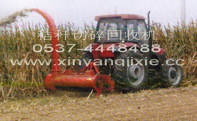 ֱնՙC 
P(gun)I: