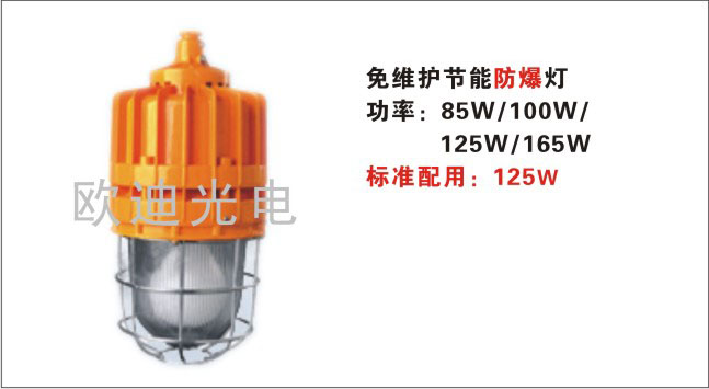 BNC6231 ѣo(w)O 
P(gun)I: