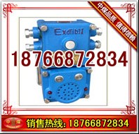 KXJ0.5/127Vü̖(ho) 
P(gun)I:
