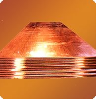 NT1~T2~MC1100~ 
PI: