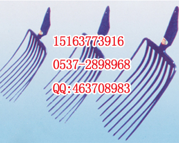 XֱN(xio) XN(li)Rȫ Ź䓲l(f)r(ji) 
P(gun)I: