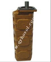 (lin)X݆N (lin)X݆ù (lin)X݆ 
PI: