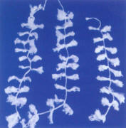 ܛwSI(y)a(chn)Sҡκͭh(hun)޹˾ 
P(gun)I: