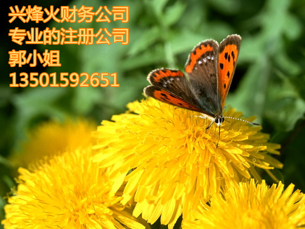 ҵFվI(y)עԹ˾ӛ~Ոһ{ 
P(gun)I: