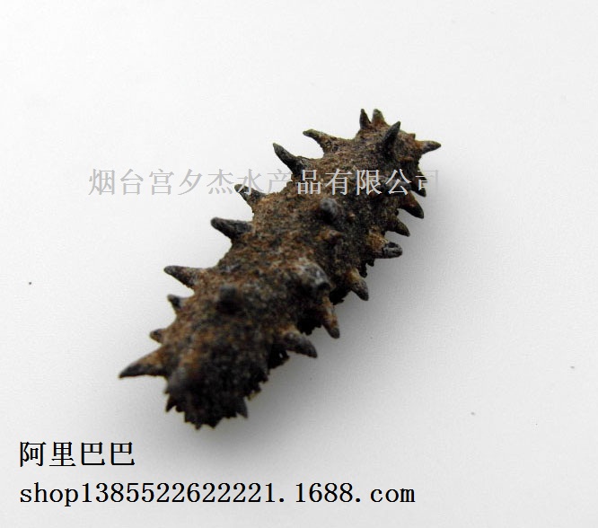 (yu)|(zh)Mں Mںu Mںl(f)xmϦˮa(chn)Ʒ˾ 
P(gun)I: