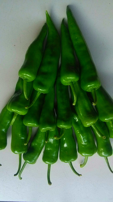⽷Nõļ⽷NƷN۹GdN 
P(gun)I: