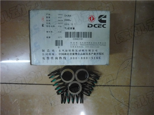 ˹ISBE y3943161 
P(gun)I: