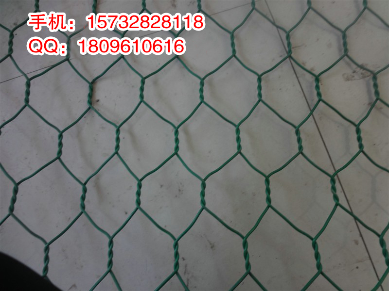F(xin)؛(yu)ݡǾW(wng)/ǾW(wng)r/ǾW(wng)a(chn)l(f) 
PI: