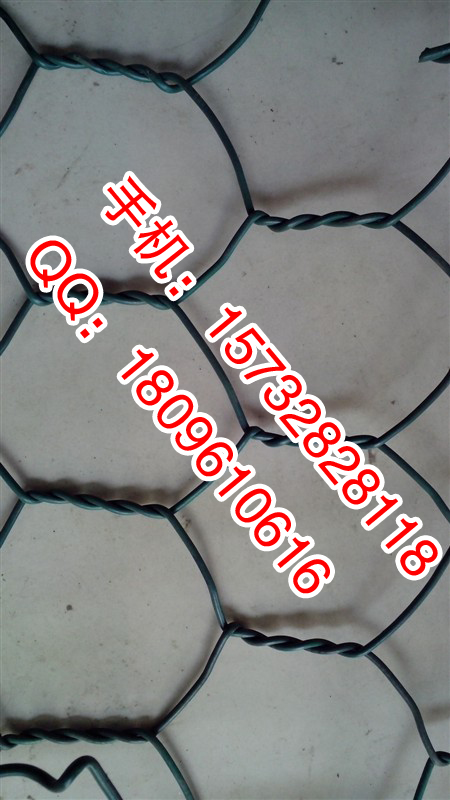 ̓rQʯ\W(wng)Nۃr/ʯ\W(wng)ȫ/Qʯ\W(wng)ھԃ 
PI: