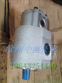 F(xin)؛p(lin)X݆CBS-E528/F306^X݆ 
P(gun)I: