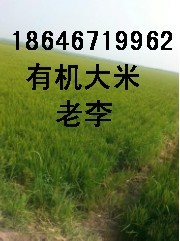 ۺuЙC(j) (jng)18646719962 
P(gun)I: