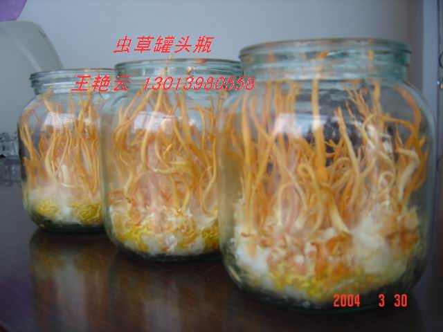 Sҹ(yng)480ml x(chng)ݲƿ ʯB(yng)ƿ Mƿ Nƿ 
P(gun)I: