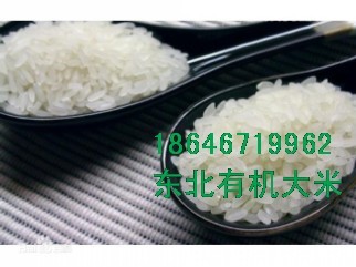 |ЙC  N۽(jng)  18646719962 
P(gun)I: