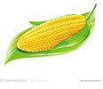 Yꖼُ(yu)ݵُĴF(xin)ُ(yu)|(zh)С 
P(gun)I: