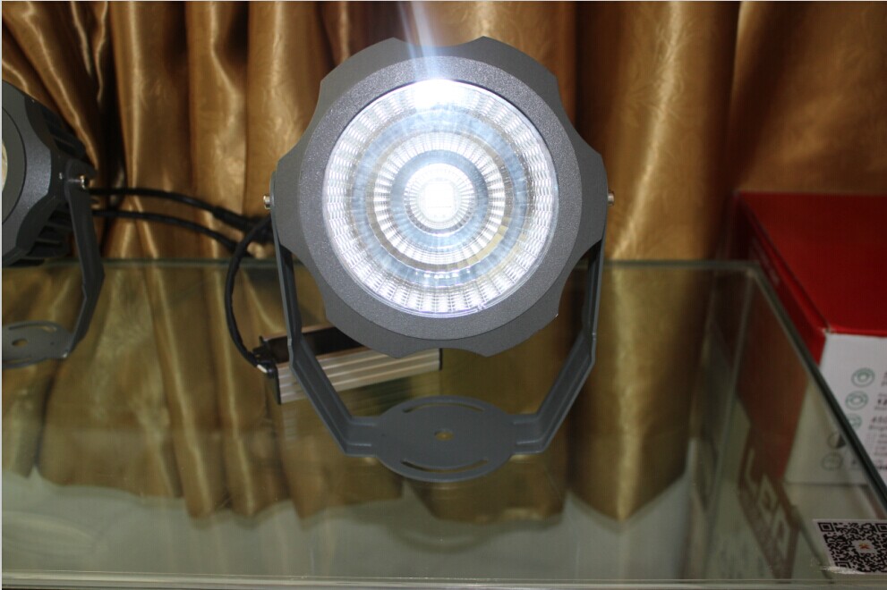 LEDͶ 
P(gun)I: