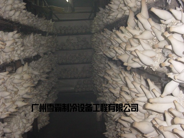 Դr찲b ѩ칝(ji)ܭh(hun) Ʒ|(zh)бC 
P(gun)I: