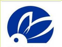 BT(yu)ďBT̘(bio)ע˼BT̘(bio)ע 
P(gun)I:
